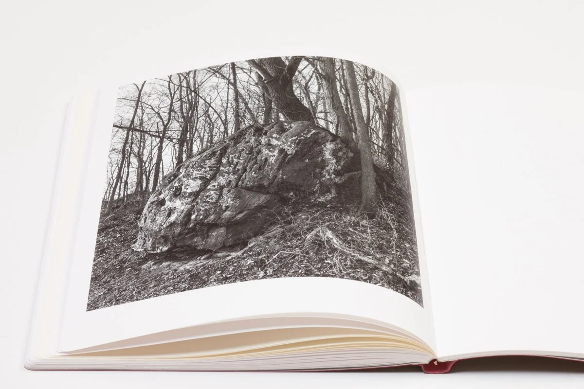 Book Review: Vanessa Winship — Strange Fire